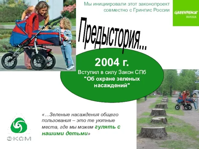 2004 г. Вступил в силу Закон СПб "Об охране зеленых насаждений" Мы