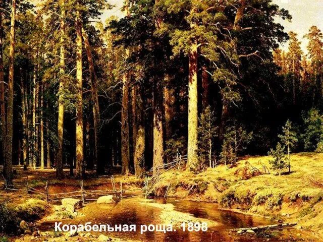 Корабельная роща. 1898