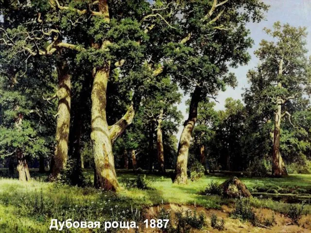 Дубовая роща. 1887