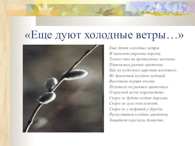 «Еще дуют холодные ветры…» Еще дуют холодные ветры И наносят утренни морозы.