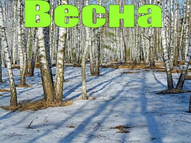 Весна