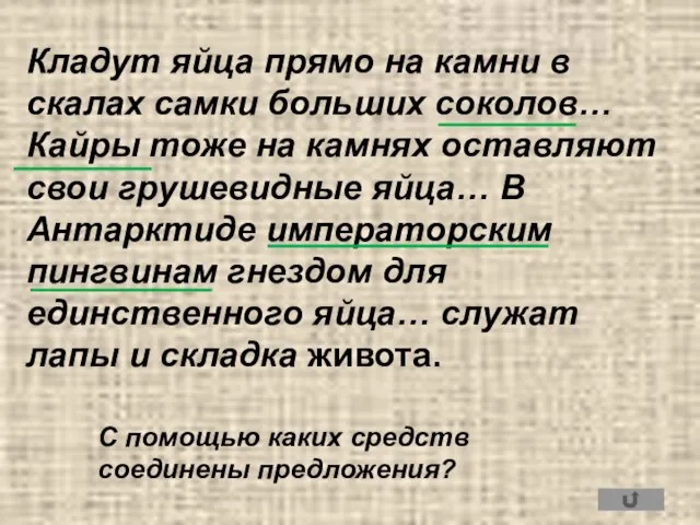 Кладут яйца прямо на камни в скалах самки больших соколов… Кайры тоже