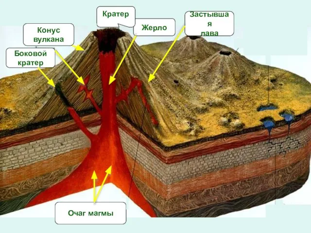 Очаг магмы Боковой кратер Конус вулкана Жерло Кратер Застывшая лава