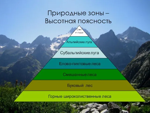 Природные зоны – Высотная поясность Снег и льды Альпийские луга Субальпийские луга