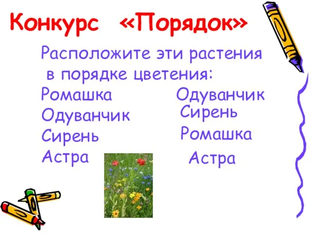 Конкурс «Порядок» Расположите эти растения в порядке цветения: Ромашка Одуванчик Сирень Астра Одуванчик Сирень Ромашка Астра