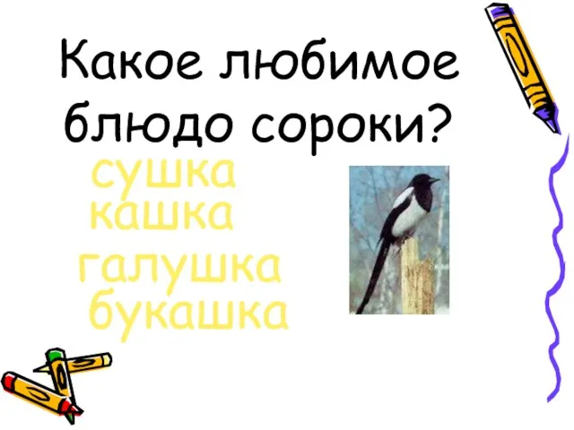 Какое любимое блюдо сороки? сушка кашка галушка букашка