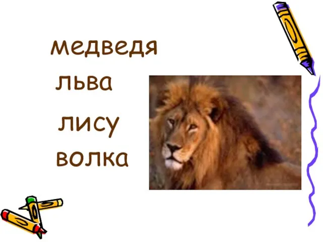 медведя льва лису волка