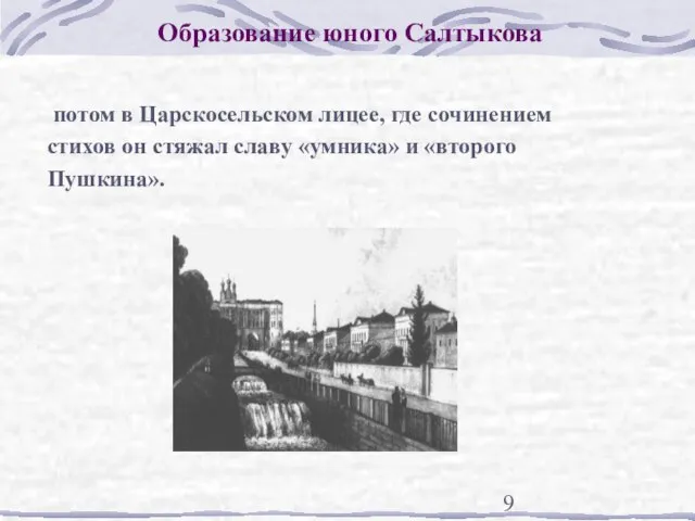 Образование юного Салтыкова потом в Царскосельском лицее, где сочинением стихов он стяжал