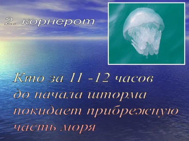 Кто за 11 -12 часов до начала шторма покидает прибрежную часть моря 2. корнерот