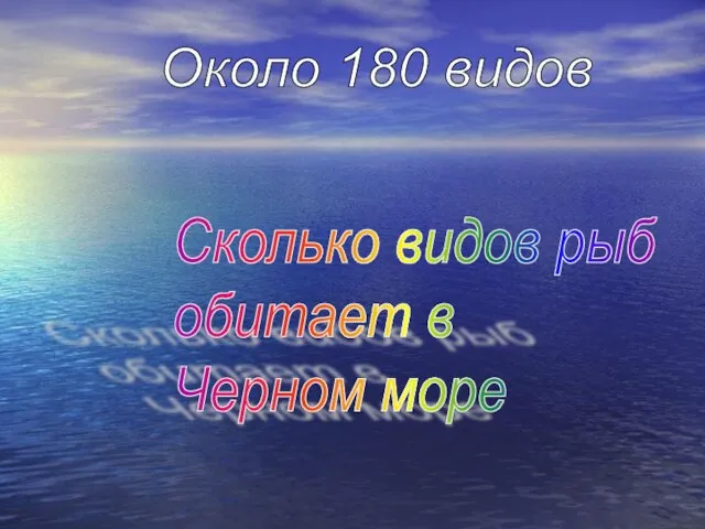 Сколько видов рыб обитает в Черном море Около 180 видов