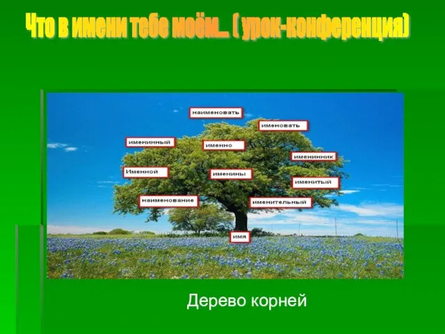 Дерево корней « Что в имени тебе моём... ( урок-конференция)