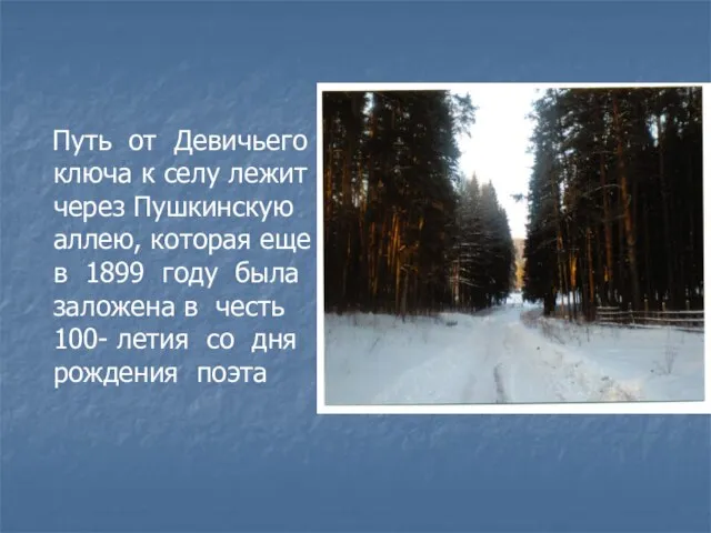 Путь от Девичьего ключа к селу лежит через Пушкинскую аллею, которая еще