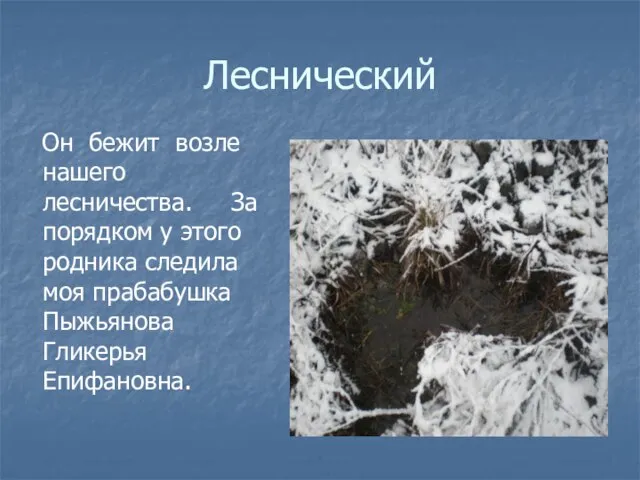 Леснический Он бежит возле нашего лесничества. За порядком у этого родника следила