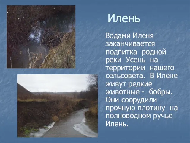 Илень Водами Иленя заканчивается подпитка родной реки Усень на территории нашего сельсовета.