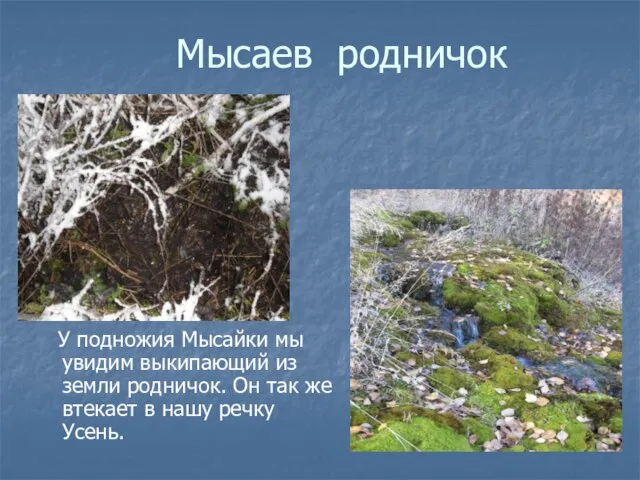 Мысаев родничок У подножия Мысайки мы увидим выкипающий из земли родничок. Он