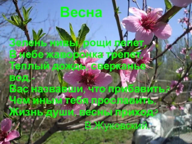 Весна Зелень нивы, рощи лепет, В небе жаворонка трепет, Теплый дождь, сверканье