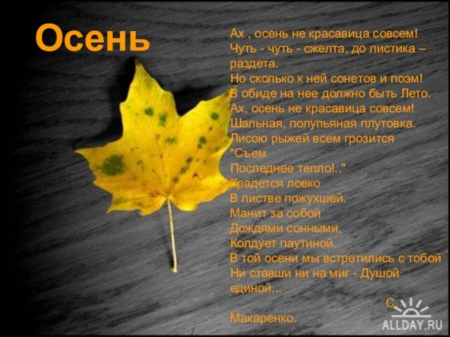 Осень Ах , осень не красавица совсем! Чуть - чуть - сжелта,