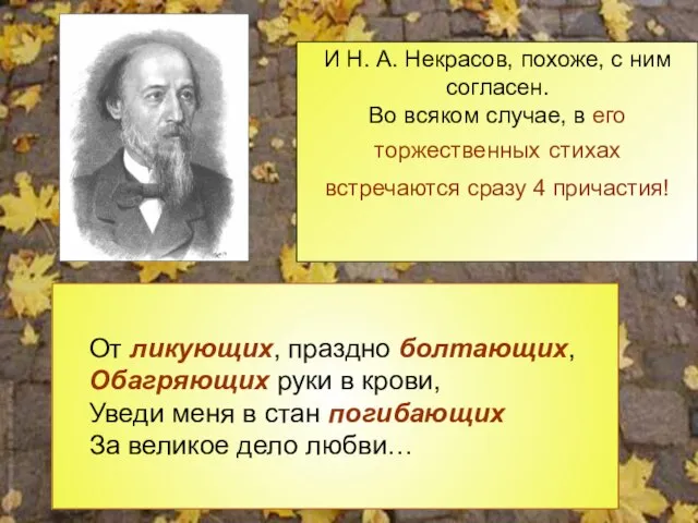 И Н. А. Некрасов, похоже, с ним согласен. Во всяком случае, в