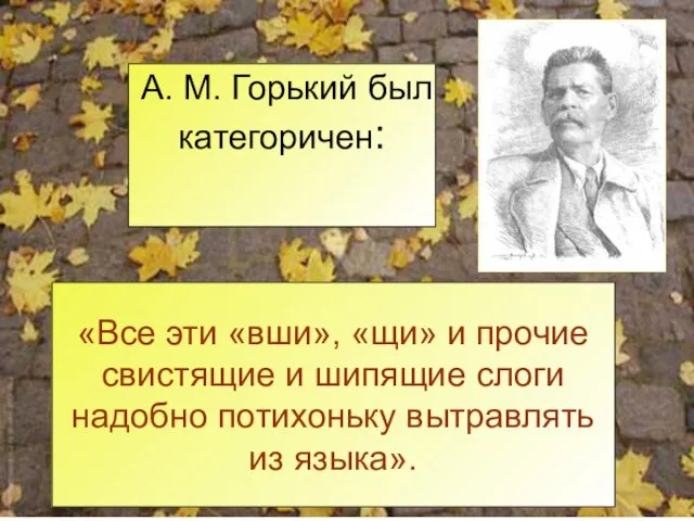 А. М. Горький был категоричен: «Все эти «вши», «щи» и прочие свистящие