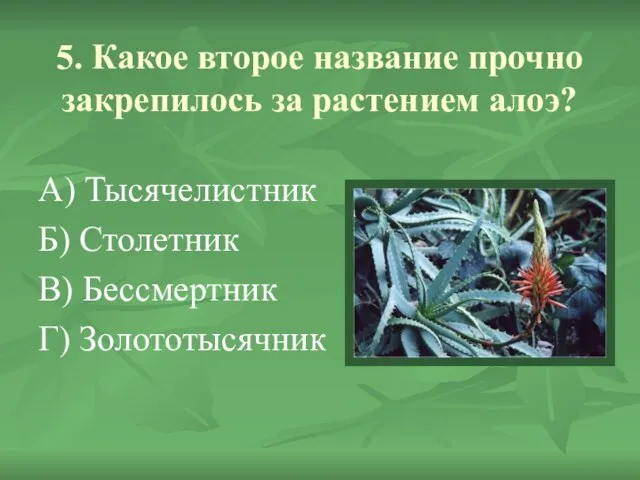 5. Какое второе название прочно закрепилось за растением алоэ? А) Тысячелистник Б)