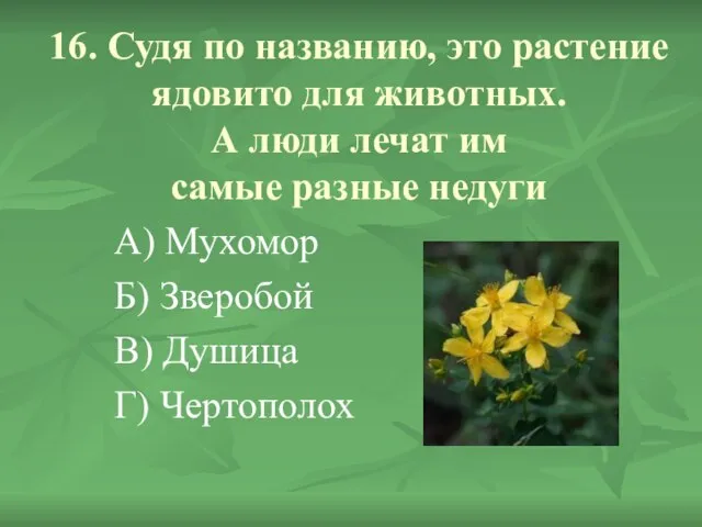 16. Судя по названию, это растение ядовито для животных. А люди лечат