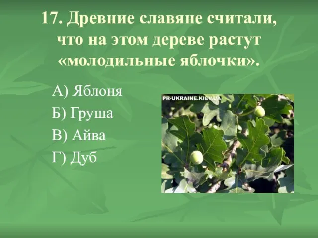 17. Древние славяне считали, что на этом дереве растут «молодильные яблочки». А)