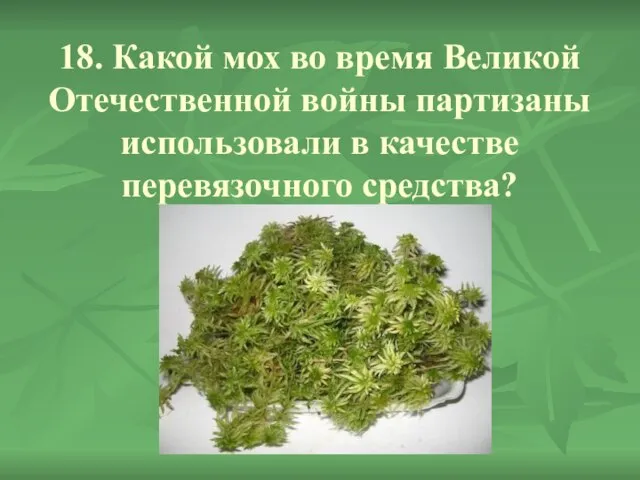 18. Какой мох во время Великой Отечественной войны партизаны использовали в качестве перевязочного средства?