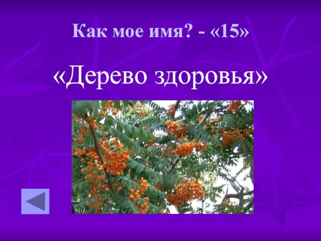 Как мое имя? - «15» «Дерево здоровья»