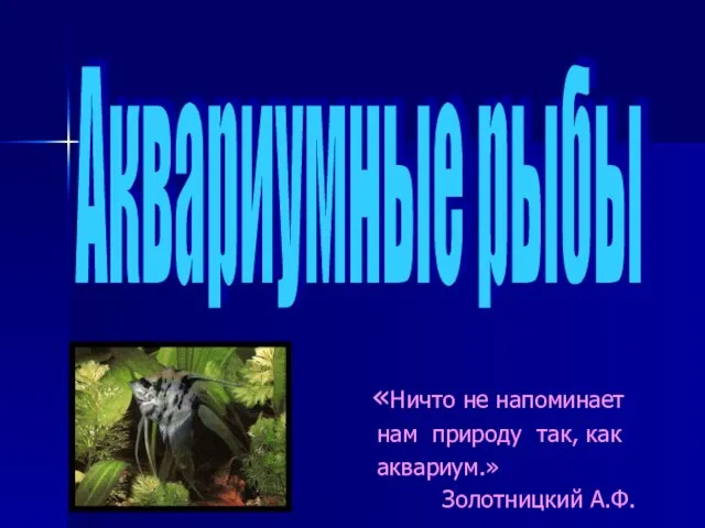 «Ничто не напоминает нам природу так, как аквариум.» Золотницкий А.Ф. Аквариумные рыбы