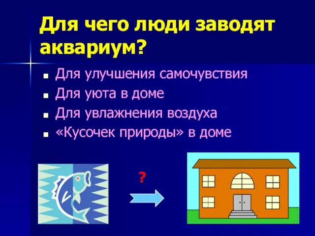 Для чего люди заводят аквариум? Для улучшения самочувствия Для уюта в доме