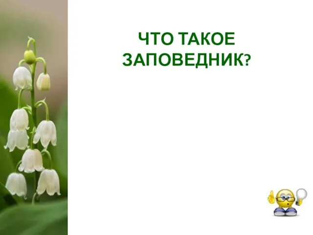 ЧТО ТАКОЕ ЗАПОВЕДНИК?