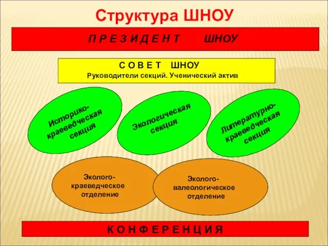 Структура ШНОУ П Р Е З И Д Е Н Т ШНОУ