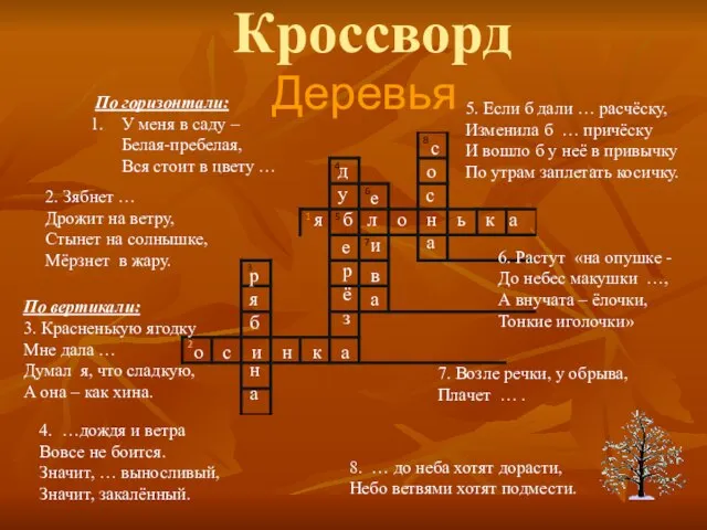 Кроссворд По горизонтали: У меня в саду – Белая-пребелая, Вся стоит в