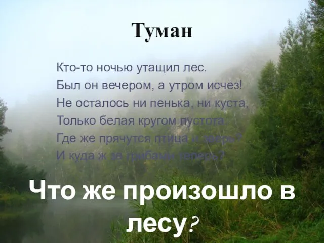 Кто-то ночью утащил лес. Был он вечером, а утром исчез! Не осталось