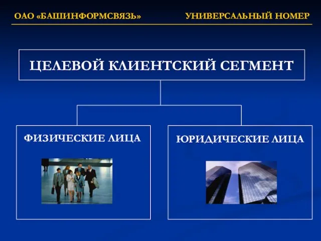 ОАО «БАШИНФОРМСВЯЗЬ» УНИВЕРСАЛЬНЫЙ НОМЕР ЦЕЛЕВОЙ КЛИЕНТСКИЙ СЕГМЕНТ ФИЗИЧЕСКИЕ ЛИЦА ЮРИДИЧЕСКИЕ ЛИЦА