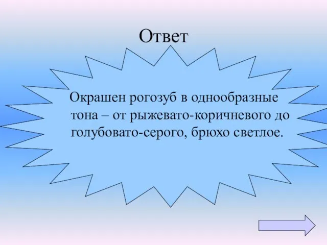 Ответ Окрашен рогозуб в однообразные тона – от рыжевато-коричневого до голубовато-серого, брюхо светлое.