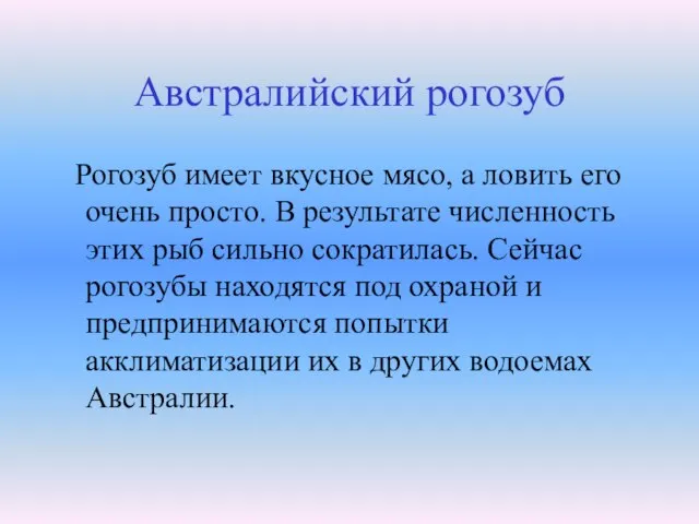 Австралийский рогозуб Рогозуб имеет вкусное мясо, а ловить его очень просто. В