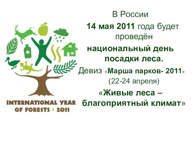 В России 14 мая 2011 года будет проведён национальный день посадки леса.