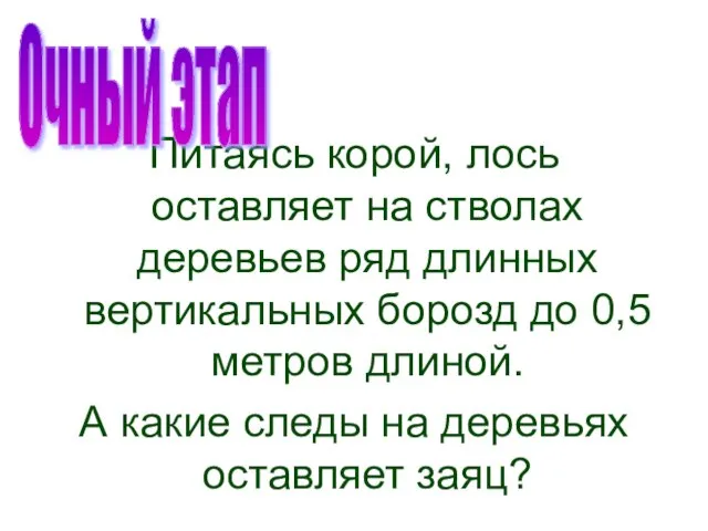 Питаясь корой, лось оставляет на стволах деревьев ряд длинных вертикальных борозд до