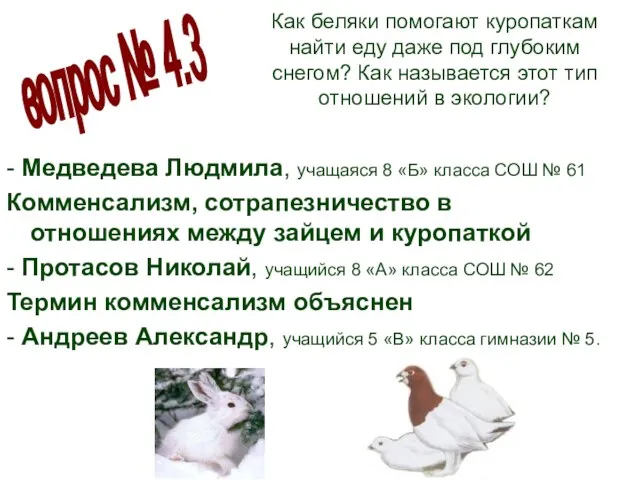 Как беляки помогают куропаткам найти еду даже под глубоким снегом? Как называется