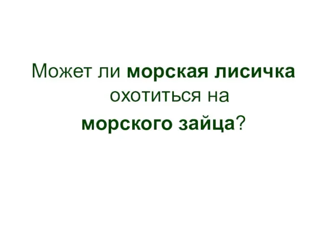 Может ли морская лисичка охотиться на морского зайца?