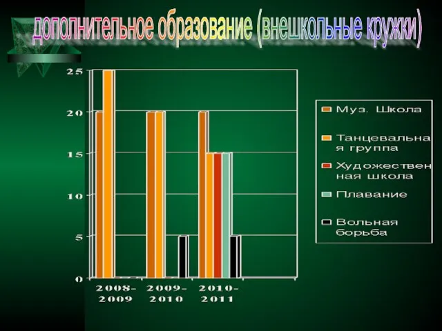 дополнительное образование (внешкольные кружки)