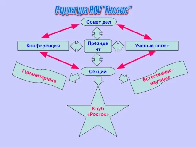 Конференция Ученый совет Совет дел Секции Президент Гуманитарные Естественно-научные Клуб «Росток» Структура НОУ "Гнозис"