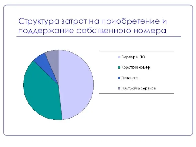 Структура затрат на приобретение и поддержание собственного номера