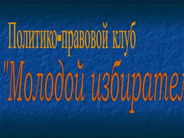 Политико-правовой клуб "Молодой избиратель"