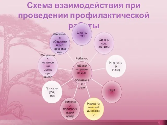 Схема взаимодействия при проведении профилактической работы