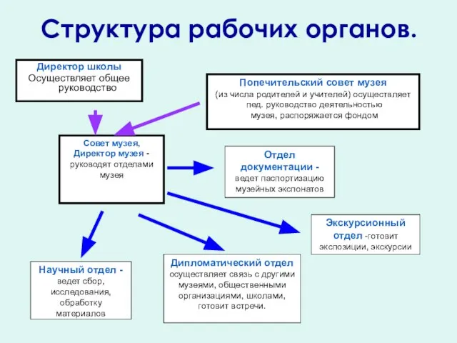 Структура рабочих органов. Директор школы Осуществляет общее руководство Попечительский совет музея (из