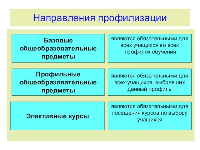 Направления профилизации Базовые общеобразовательные предметы Элективные курсы Профильные общеобразовательные предметы являются обязательными