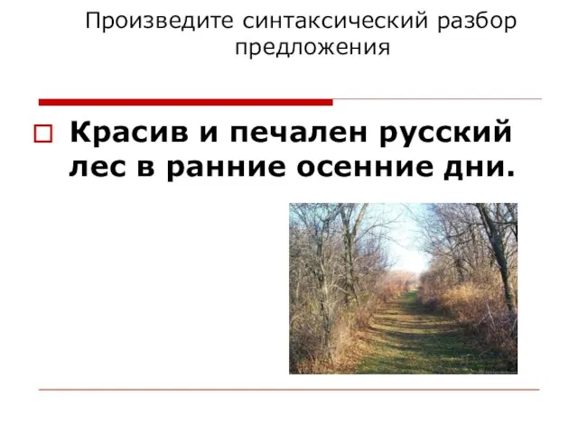 Произведите синтаксический разбор предложения Красив и печален русский лес в ранние осенние дни.