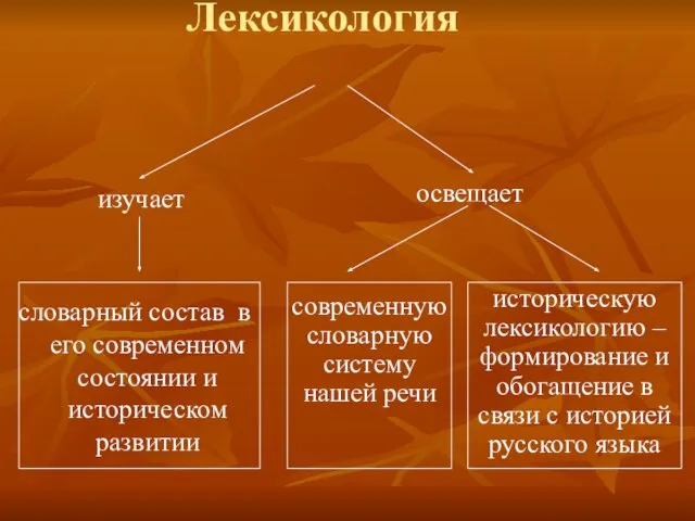 Лексикология изучает словарный состав в его современном состоянии и историческом развитии освещает